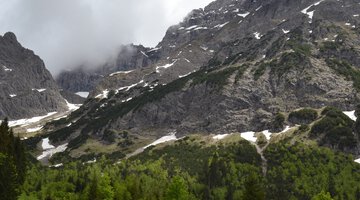 Bärenkopf