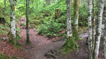 Wanderweg im Schwarzwassertal