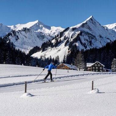 Langlauf Steinbockloipe