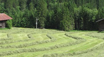 Kleinwalsertal | Walserstall Mittelberg