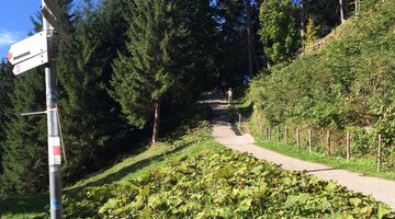 Vom Söllereck nach Riezlern