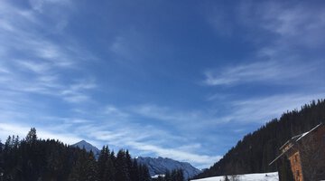 Unterwegs im Wäldele