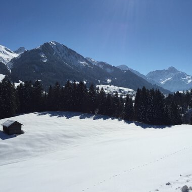 Schwende