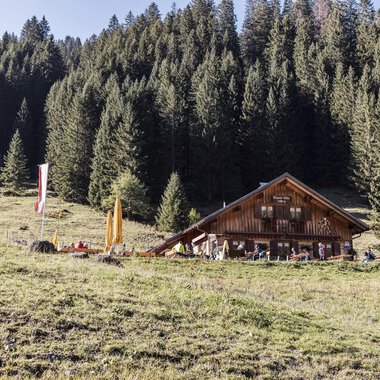 A rustic cabin nestled among green meadows and dense coniferous trees. The sky is clear and the surroundings feel inviting and peaceful. | © Kleinwalsertal Tourismus | Bastian Morell
