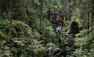 An adventurous forest with dense trees and vines. One person swings between the trees while another stands on a platform high up. | © Kleinwalsertal Tourismus | Oliver Farys