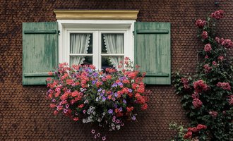 Ein Fenster mit grünen Fensterläden und einem bunten Blumenkasten. Die Blumen sind in verschiedenen Farben und sorgen für eine lebendige Atmosphäre.
