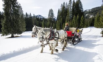 Ein Pferdeschlitten fährt durch eine verschneite Landschaft mit hohen Kiefern. Im Hintergrund sind Berge und blauer Himmel zu sehen.