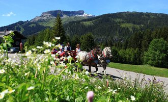 Eine Kutsche mit Pferden fährt an bunten Blumen und grünen Bäumen vorbei. Im Hintergrund sind Berge und ein klarer blauer Himmel zu sehen. | © Kleinwalsertal Tourismus