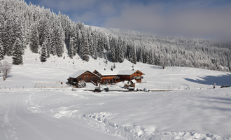 A snow-covered landscape with a rustic wooden house. Dense fir trees surround the tranquil scene.