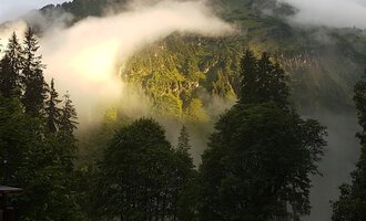 An impressive mountain landscape with fog and clouds. The sun illuminates the green vegetation in the surroundings. | © Gasthof Café Alpenwald | Thorsten Alpenwald