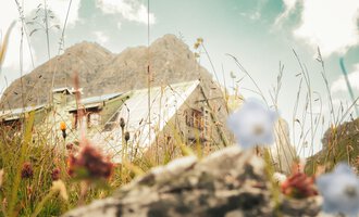 A mountain hut surrounded by green meadows and colorful flowers. In the background, majestic mountains can be seen. | © Mindelheimer Hütte | Wolfgang Stache