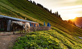A rustic alpine hut with wooden cladding and a sloped roof. In the foreground, there are tables with blue umbrellas in a green meadow landscape. | © Kleinwalsertal Tourismus