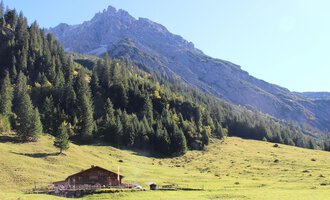 Eine malerische Alpenlandschaft mit einem heimeligen Holzhaus und grünen Wiesen. Im Hintergrund ragen beeindruckende Berge unter klarem Himmel empor. | © Kleinwalsertal Tourismus | Britta Maier