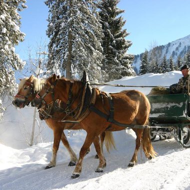 Eine Pferdeschlittenfahrt durch eine verschneite Winterlandschaft. Bäume und Berge sind im Hintergrund sichtbar. | © Otto Berwanger