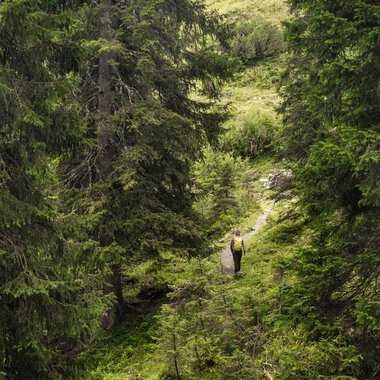 Wanderer in einem grünen, bewaldeten Tal mit einem Weg, umgeben von hohen Bäumen. | © Kleinwalsertal Tourismus eGen • Fotograf: Andre Tappe