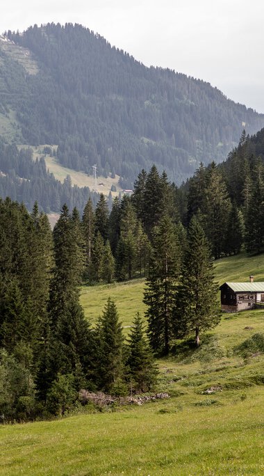 Landschaft mit grünen Wiesen, Tannenbäumen und Berghütten im Gemsteltal, umgeben von Bergen und einem bewölkten Himmel. | © Kleinwalsertal Tourismus eGen • Fotograf: Bastian Morell