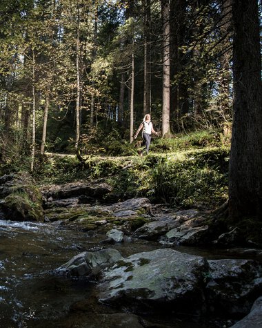 A person hiking along a small stream in a dense forest with tall trees, sunlight filtering through the foliage. | © Kleinwalsertal Tourismus eGen • Photographer: Dominik Berchtold