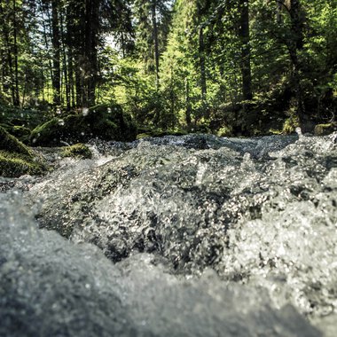 A fast-flowing stream in a lush green forest with sunlight filtering through the trees. | © Kleinwalsertal Tourismus eGen • Photographer: Oliver Farys