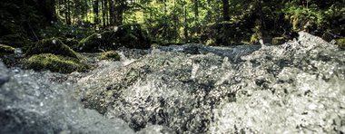 Ein schneller Fluss in einem grünen Wald mit Sonnenlicht, das durch die Bäume scheint. | © Kleinwalsertal Tourismus eGen • Fotograf: Oliver Farys