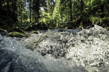 A fast-flowing stream in a lush green forest with sunlight filtering through the trees. | © Kleinwalsertal Tourismus eGen • Photographer: Oliver Farys