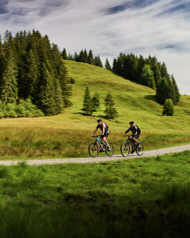 Two cyclists riding on a forest trail in Kleinwalsertal, surrounded by green hills and forests on a sunny day. | © Kleinwalsertal Tourismus eGen • Photographer: Oliver Farys