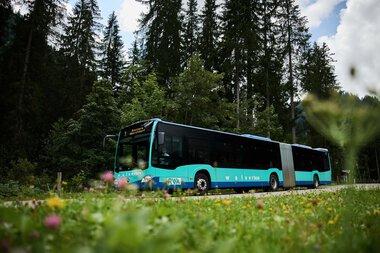 A blue Walserbus is driving through a green forested landscape on a road in Kleinwalsertal. | © Kleinwalsertal Tourismus eGen • Photographer: Oliver Farys