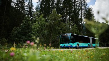 A modern bus drives through a lush green landscape surrounded by forest on a sunny day. | © Kleinwalsertal Tourismus eGen • Photographer: Oliver Farys