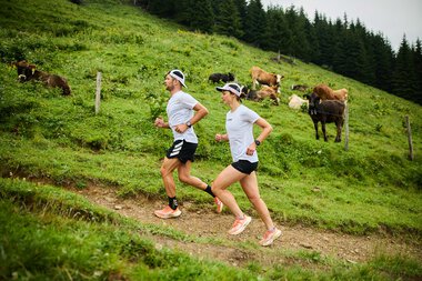 Two women running on a grassy trail surrounded by cows and a forest in the background. | © Kleinwalsertal Tourismus eGen • Photographer: Oliver Farys