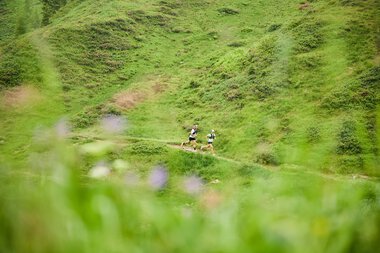 Two trail runners running on a narrow path through a lush green hilly landscape in Kleinwalsertal. | © Kleinwalsertal Tourismus eGen • Photographer: Oliver Farys