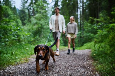 © Kleinwalsertal Tourismus eGen • Fotograf: Oliver Farys