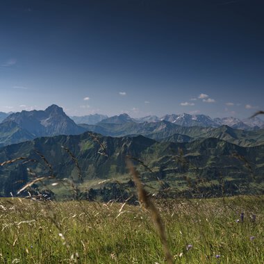 Landschaft mit grünen Bergen und Wiesen unter einem klaren blauen Himmel, im Sommer 2024. | © Kleinwalsertal Tourismus eGen • Fotograf: Robert Niederwolfsgruber