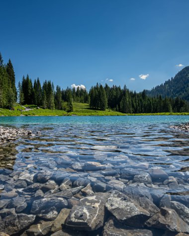 Klares Bergsee mit steinigen Ufern, umgeben von grünen Wiesen und dichten Tannenwäldern, unter einem blauen Himmel. | ©  Kleinwalsertal Tourismus eGen • Fotograf: Robert Niederwolfsgruber