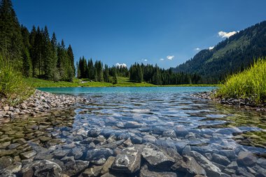 Clear mountain lake with rocky shores, surrounded by green meadows and dense pine forests under a blue sky. | © Kleinwalsertal Tourismus eGen • Photographer: Robert Niederwolfsgruber