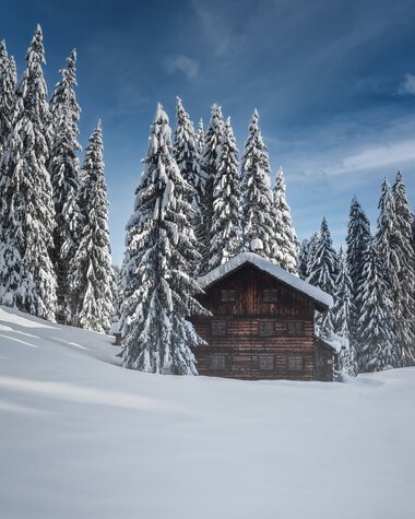 A snowy winter landscape with a small wooden cabin in front of a dense group of snow-covered trees under a blue sky. | © Kleinwalsertal Tourismus eGen • Photographer: Robert Niederwolfsgruber
