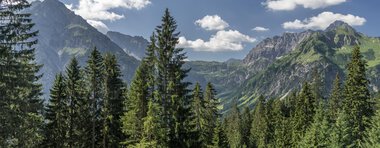 Mountain landscape with high peaks, green forests, and a blue sky with clouds, captured during a summer trip. | © Kleinwalsertal Tourismus eGen • Photographer: Steffen Berschin 