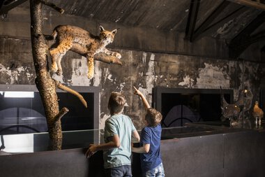 Zwei Kinder beobachten einen ausgestellten Jaguar im Naturkundemuseum. | © Kleinwalsertal Tourismus eGen • Inatura Dornbirn • Fotograf: Petra Rainer