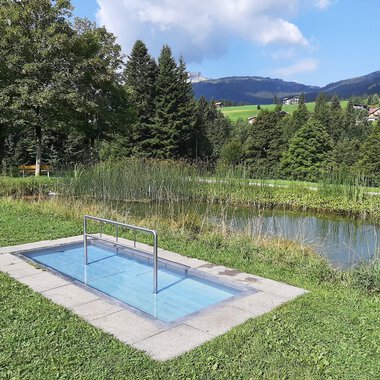 Wading pool in the park with water, surrounded by green lawns, trees, and mountains in the background. | © Kleinwalsertal Tourismus eGen