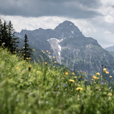 Landschaft mit grünen Wiesen, bunten Blumen im Vordergrund und Berggipfeln im Hintergrund bei bewölktem Himmel. | © Kleinwalsertal Tourismus eGen • Fotograf: Dominik Berchtold