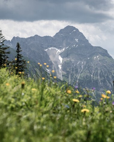 Landschaft mit grünen Wiesen, bunten Blumen im Vordergrund und Berggipfeln im Hintergrund bei bewölktem Himmel. | © Kleinwalsertal Tourismus eGen • Fotograf: Dominik Berchtold