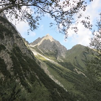 Berglandschaft mit schroffen Gipfeln und grünen Hängen, sichtbare Blätter eines Baumes im Vordergrund. | © Kleinwalsertal Tourismus eGen • Fotograf: Antje Pabst