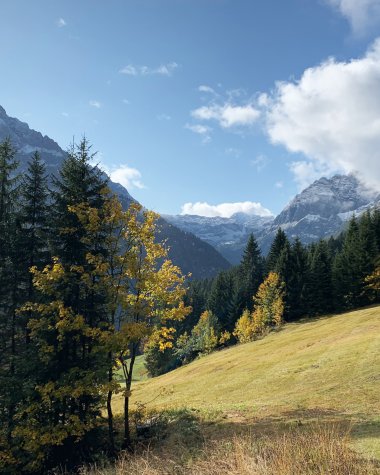 Berglandschaft mit Wäldern, Wiesen und Bergen unter einem blauen Himmel mit Wolken im Hintergrund. | © Kleinwalsertal Tourismus eGen
