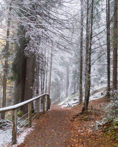 Wanderweg durch einen nebligen Winterwald mit Schnee bedeckten Bäumen und Blättern auf dem Boden. | © Kleinwalsertal Tourismus eGen