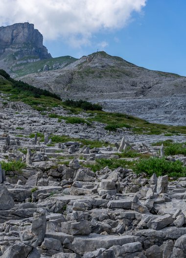 Berglandschaft mit grauen Felsen und grünen Pflanzen am Fuße eines Hügels unter einem blauen Himmel. | © Kleinwalsertal Tourismus eGen • Fotograf: Steffen Berschin