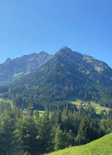Berglandschaft mit hohen Gipfeln, grüne Hügel und dichte Wälder unter blauem Himmel. | © Kleinwalsertal Tourismus eGen