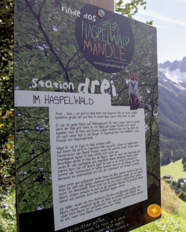 Information sign in Haspelwald with description of the hike in Kleinwalsertal, surrounded by green meadows and mountains. | © Kleinwalsertal Tourismus eGen