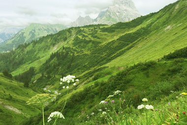 Green, hilly landscape with meadows and flowers in Derratal, surrounded by high mountains in the Kleinwalsertal. | © Kleinwalsertal Tourismus eGen