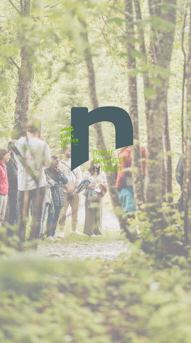 Group of people walking along a forest path in sunlight, with trees and green nature in the background. | © Kleinwalsertal Tourismus eGen
