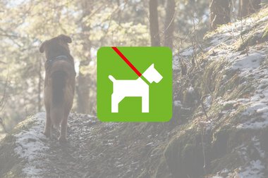 Hund darf den Weg nicht betreten, Warnsymbol mit Hund und Rotstrich. | © Kleinwalsertal Tourismus eGen