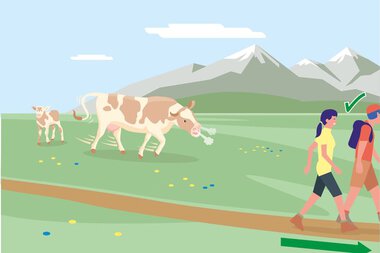 Two hikers walk on a trail in the mountains, with cows grazing on green fields in the background. | © Bundesministerium für Nachhaltigkeit und Tourismus